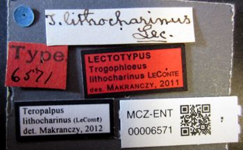 Media type: image;   Entomology 6571 Aspect: labels